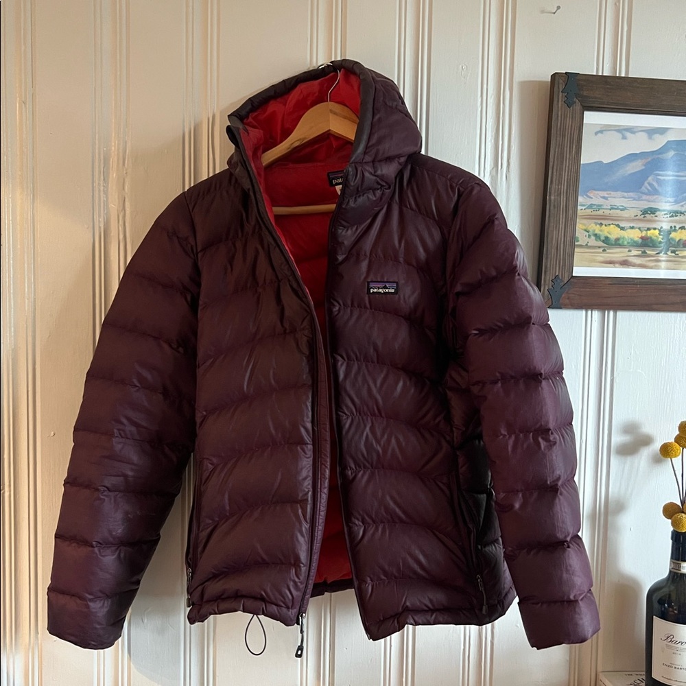 Patagonia Hooded Down Jacket
